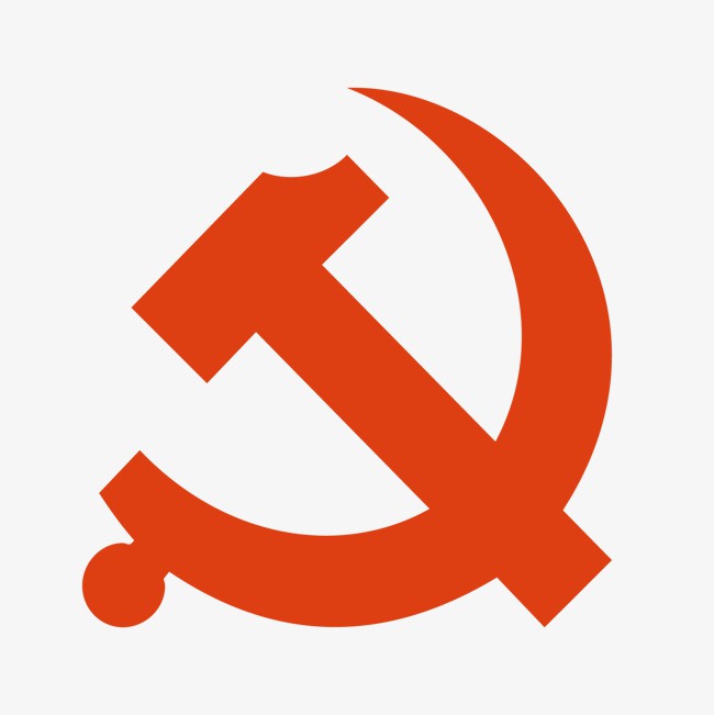 中共德宏友谊医院股份有限公司支部委员会简介