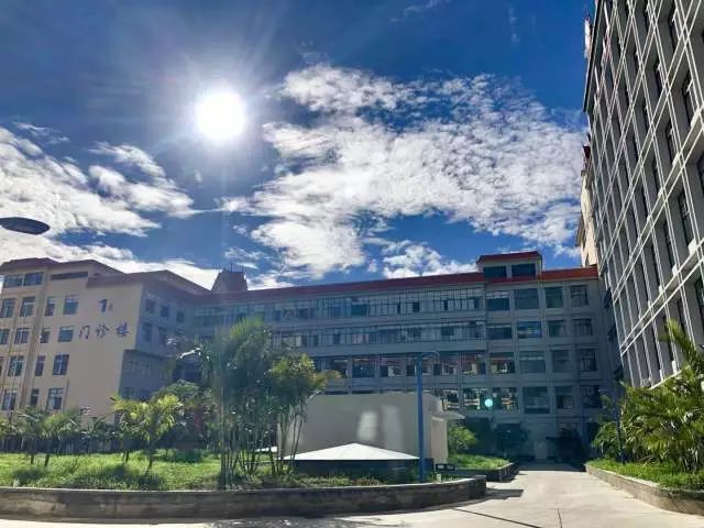 15482991667368.png 15482991667368.png