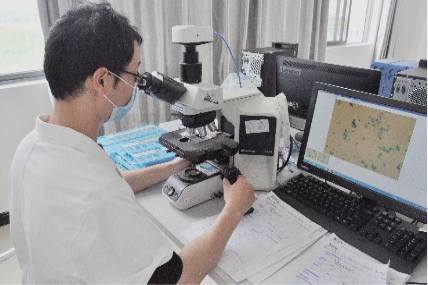 16088812832933.png 16088812832933.png