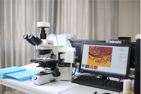 16088813018697.png 16088813018697.png