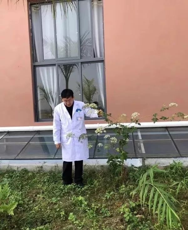 16109332555660.jpg 16109332555660.jpg