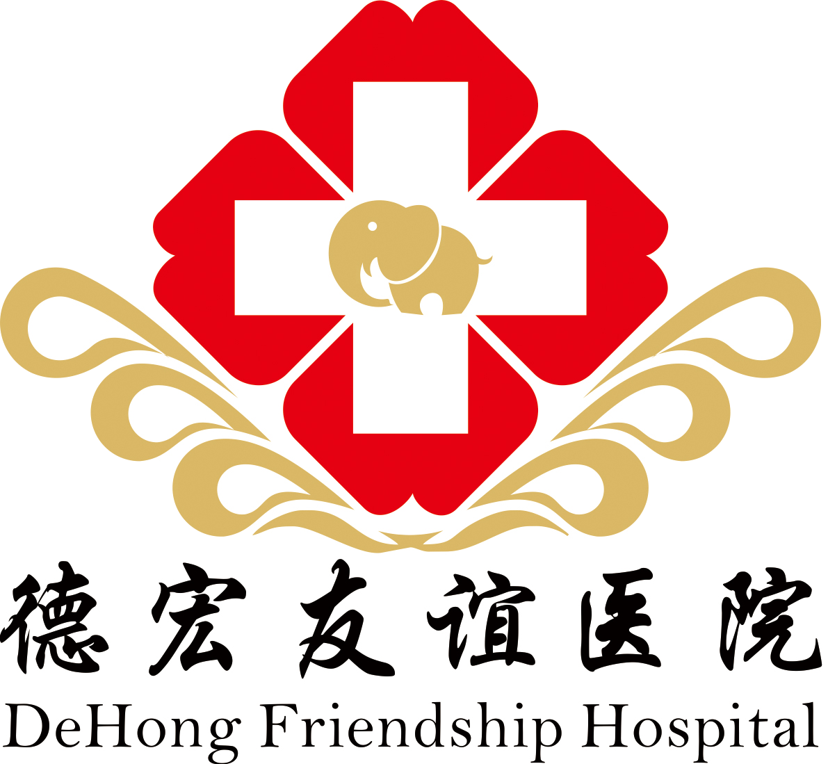 德宏友谊医院健康餐厅经营权对外承包 招标公告